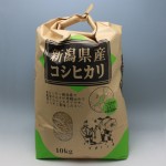 ※ 新潟こしひかり 10kg 玄米食用玄米 （令和3年度産）